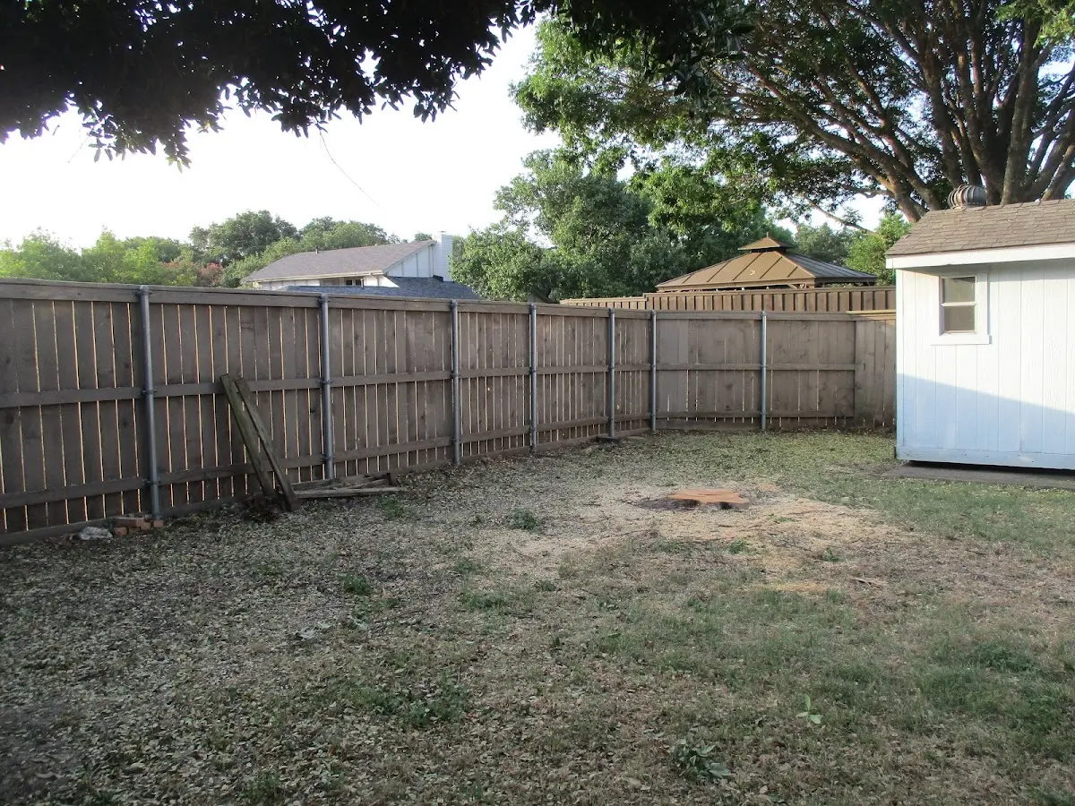 Cleared yard after professional tree removal in Waynesboro